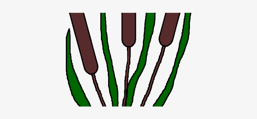 Download Wallpaper Full Wallpapers The World Widest - Pond, transparent png download