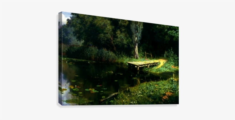 Overgrown Pond Canvas Print - Overgrown Pond, transparent png download
