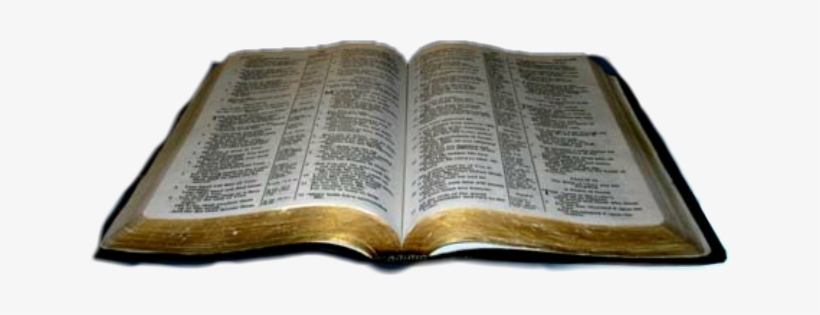 Biblia Freetoedit - Bible, transparent png download