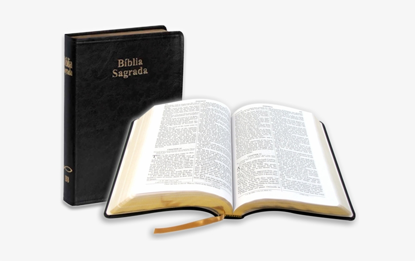 La Seua Repercussió Literària - Biblia De Los Adventistas, transparent png download