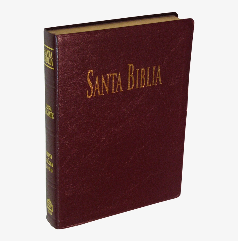 Spanish Sbu Santa Biblia Abs Grande De Letra Gigante, - Bible, transparent png download