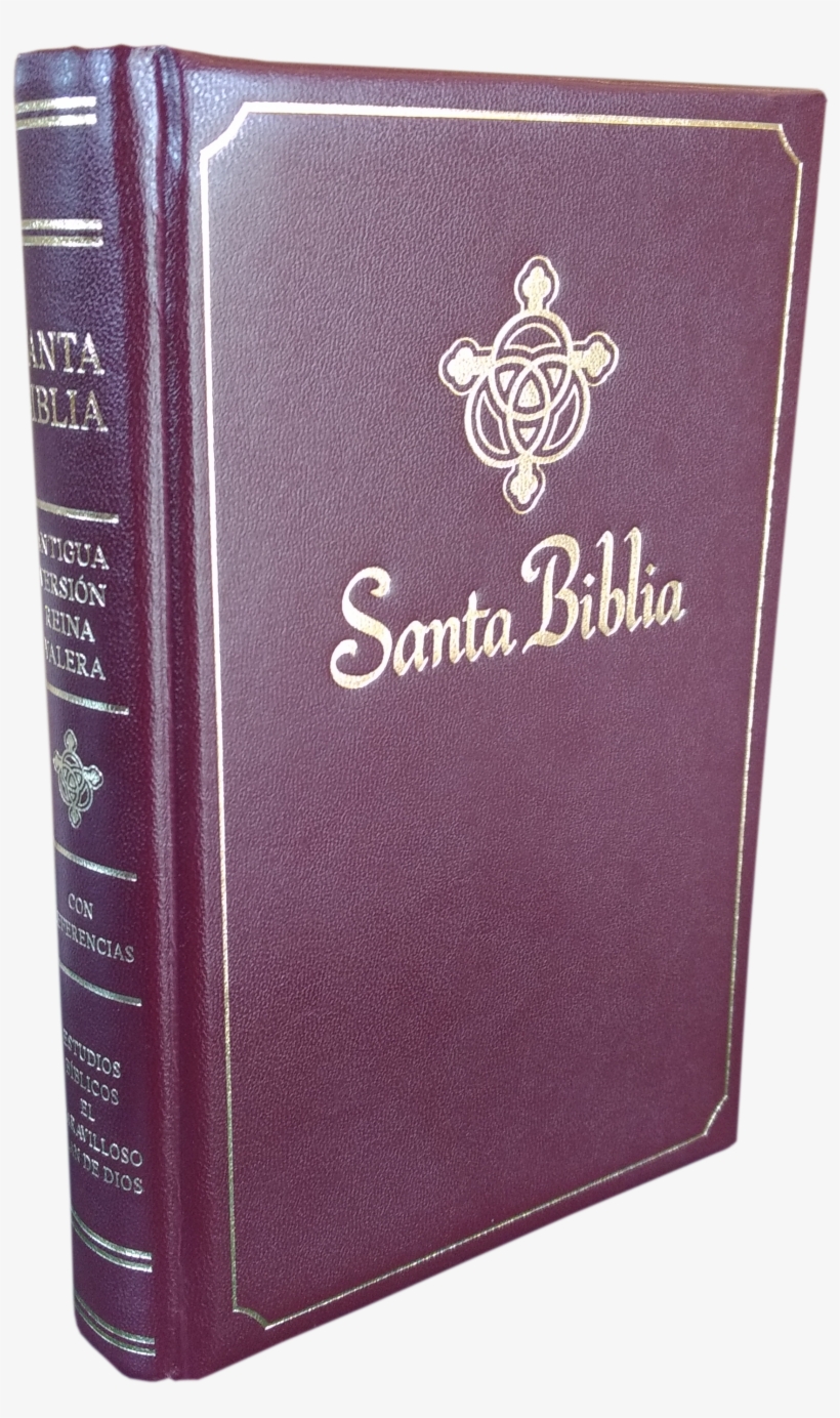 Rv1979 Biblia With Study Helps - Bible, transparent png download