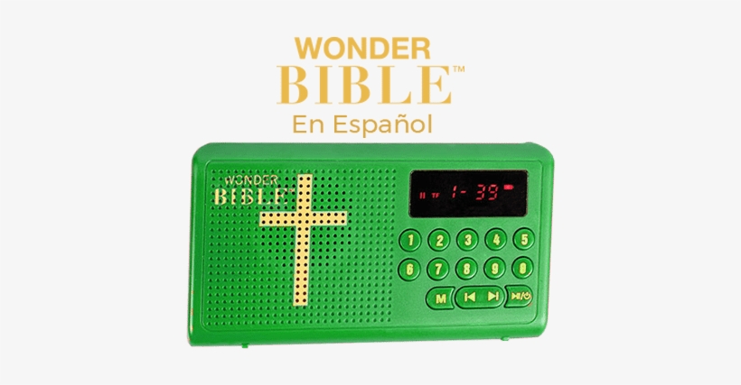 Cada Juego Incluye - Conservatory Of Flowers, transparent png download