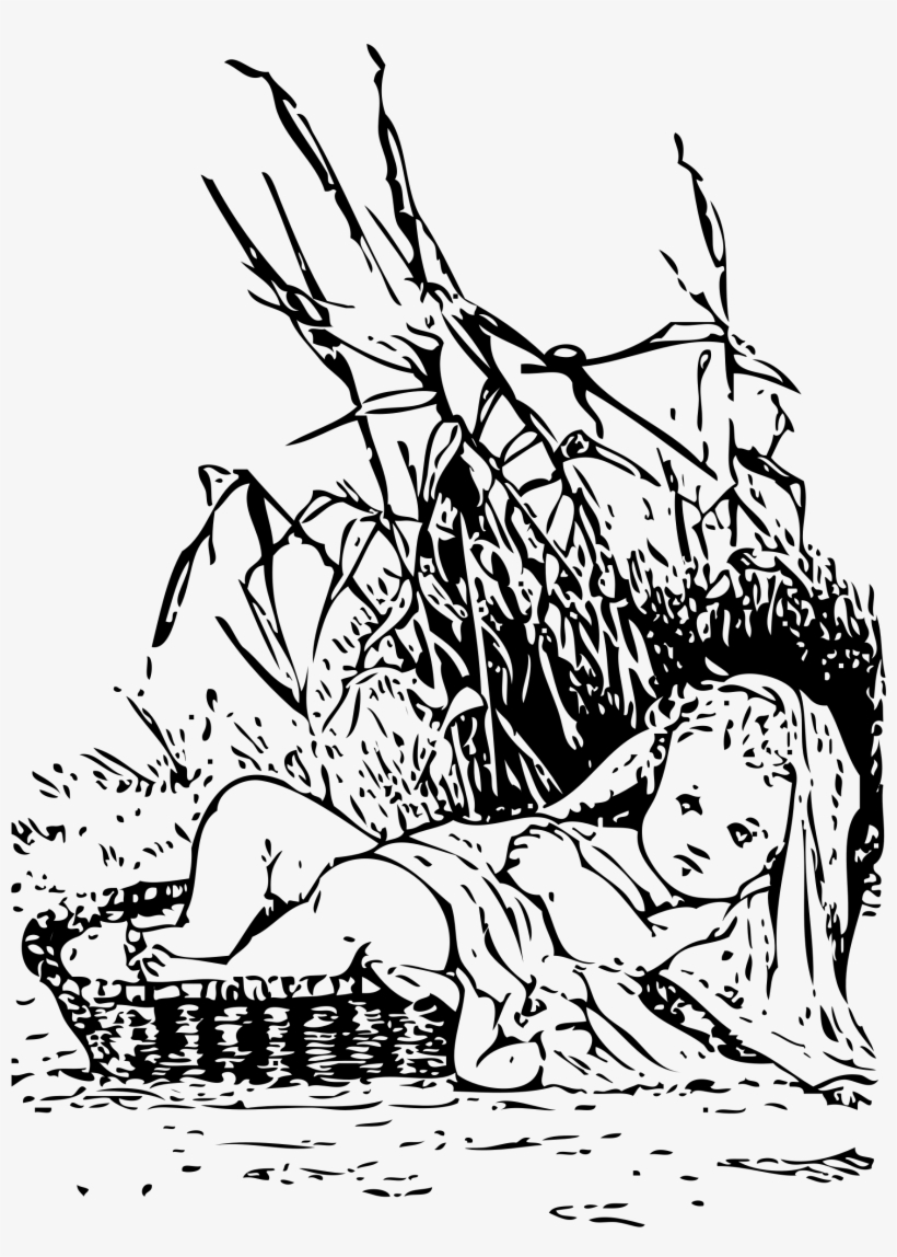 Banner Library Download In The Bulrushes Big Image - Moses In The Bulrushes, transparent png download