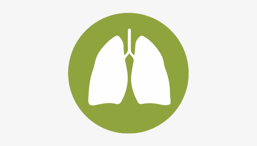 16,000 To 24,000 Americans Die Of Lung Cancer, Even - Lung Clipart, transparent png download