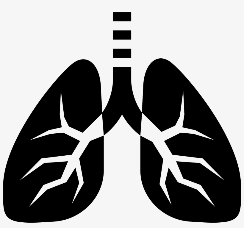 Png Stock Icon Free Download Png And This Picture - Lungs Icon, transparent png download