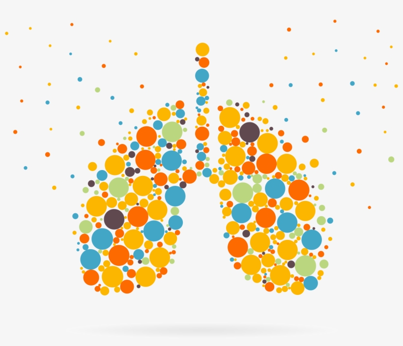 Ipf-lungs - Asthma And Allergy Awareness Month 2017, transparent png download