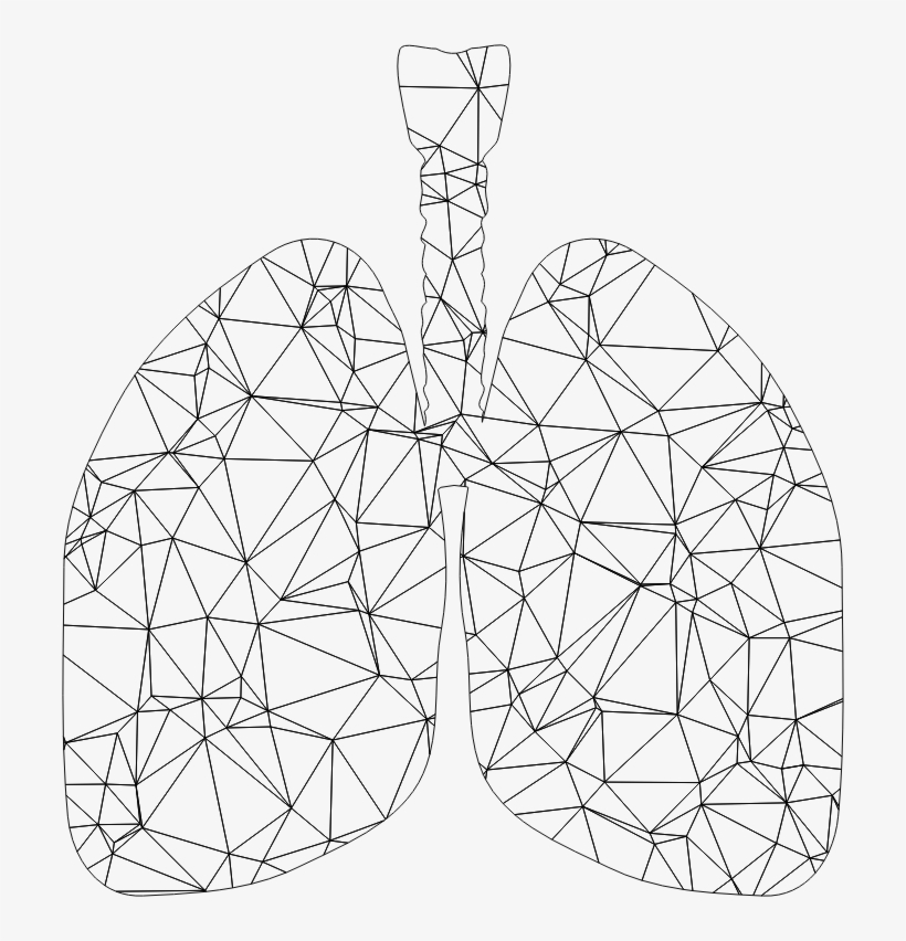 Medium Image - Low Poly Lung, transparent png download