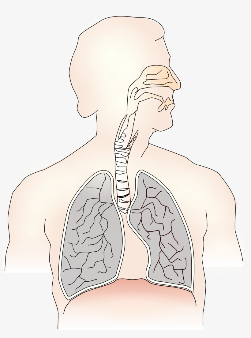 Windpipe Mouth Remix Of Moini Image Png - Therapy, transparent png download