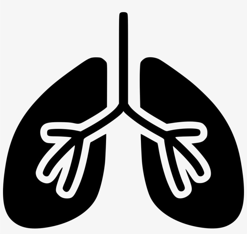Lungs Comments - Lungs Vector, transparent png download