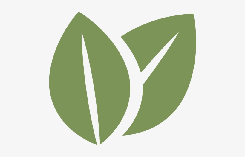 Leaf Icon - Sustainability Free, transparent png download