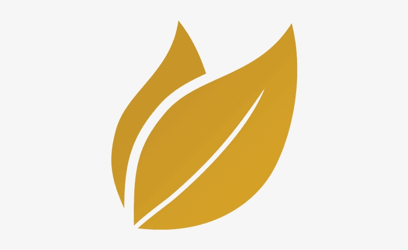 Gold Leaf - Wood, transparent png download