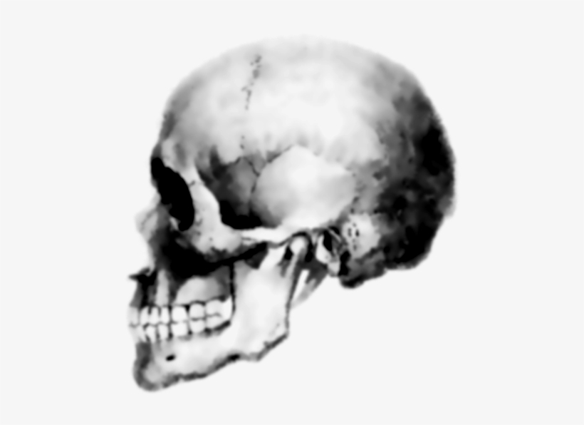 Skull Icon - Hardcore Punk, transparent png download