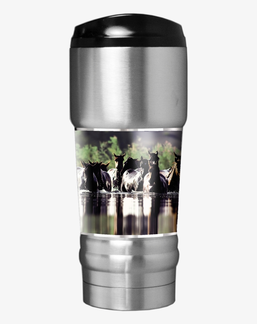 Coolin' Off Travel Tumbler - David Stoecklein - Coolin' Off Open Edition On Canvas, transparent png download