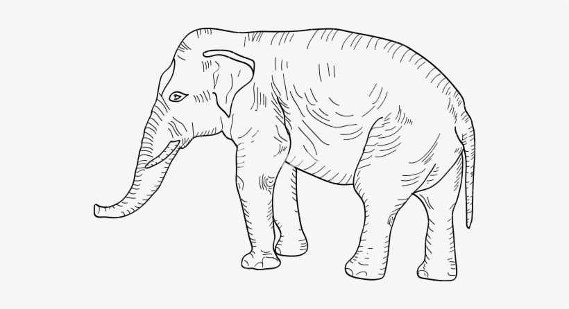 Large African Elephant Outline Photos By Canva Png - Vector Graphics, transparent png download