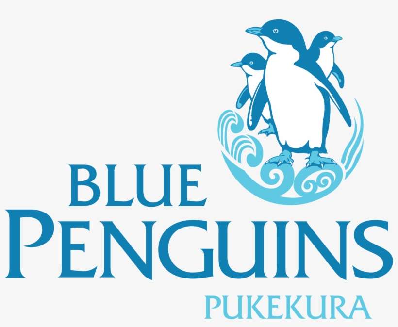 Blue Penguins Pukekura, transparent png download