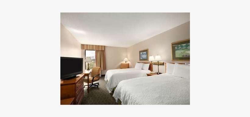 Hampton Inn Orlando International Drive Convention, transparent png download