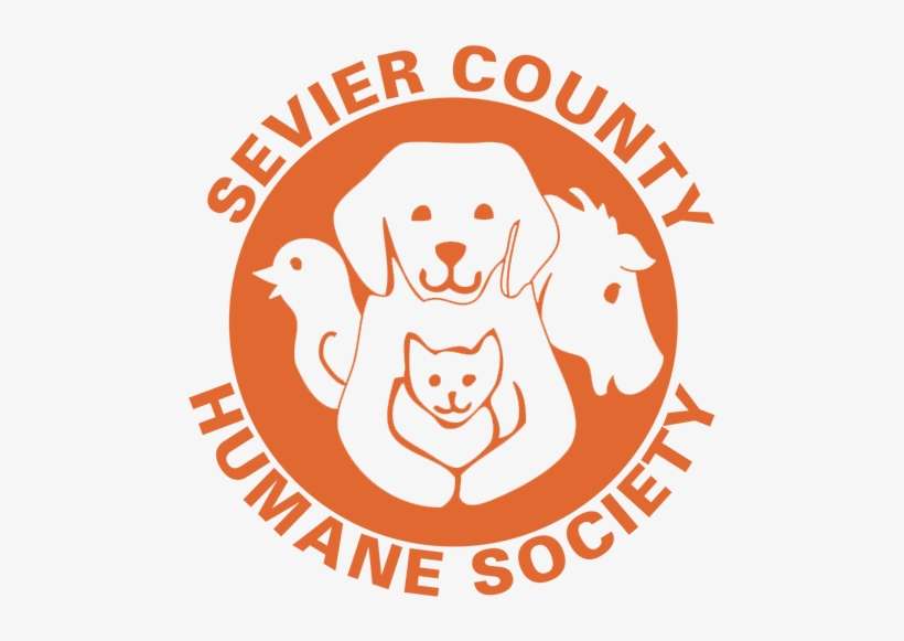 How To Support Us - No Smoking In Vehicle Label, transparent png download