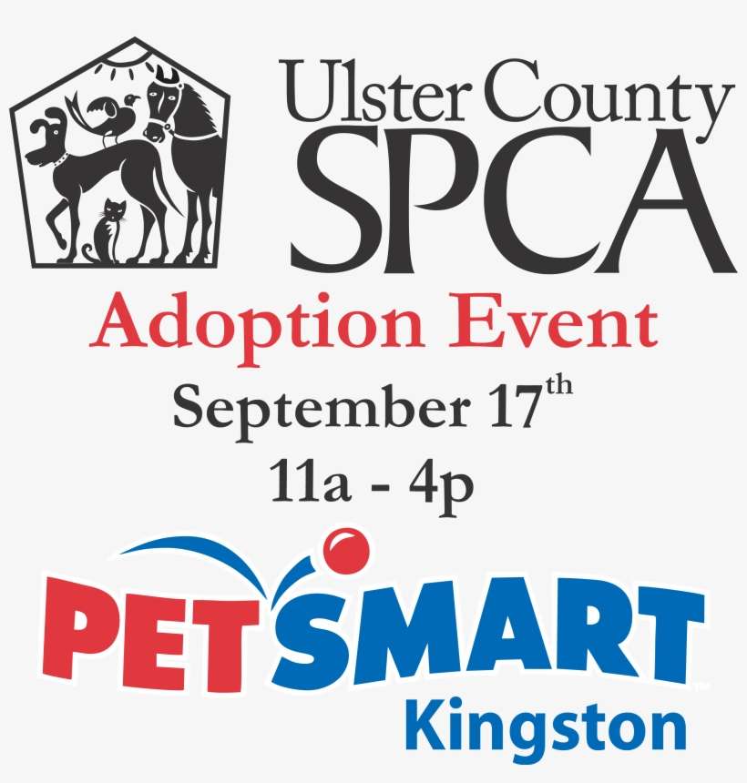17 Adoption Event Petsmart Coupons August 2018 PNG Image Transparent PNG Free Download on