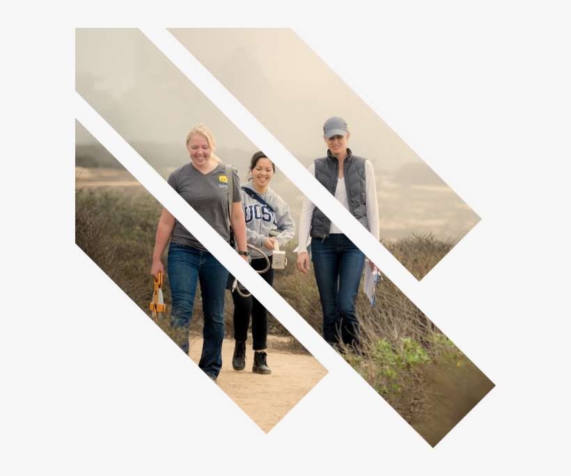 Continue The Non Tradition - Handrail, transparent png download