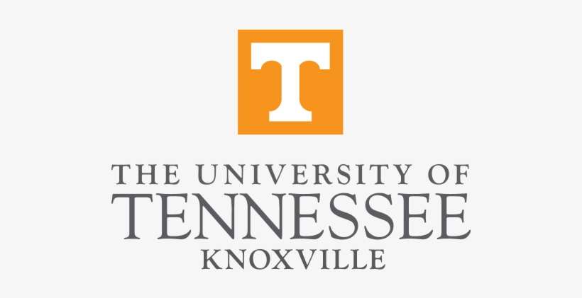 Vice Provost For International Affairs - University Of Tennessee Logo, transparent png download