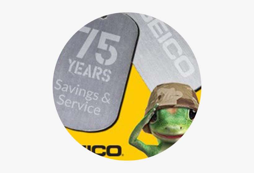 Geicomilitary, Print, Digital, Out Of Home - Toad, transparent png download