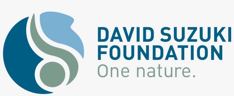 The New David Suzuki Foundation Logo Can Be Downloaded - David Suzuki Foundation Logo, transparent png download