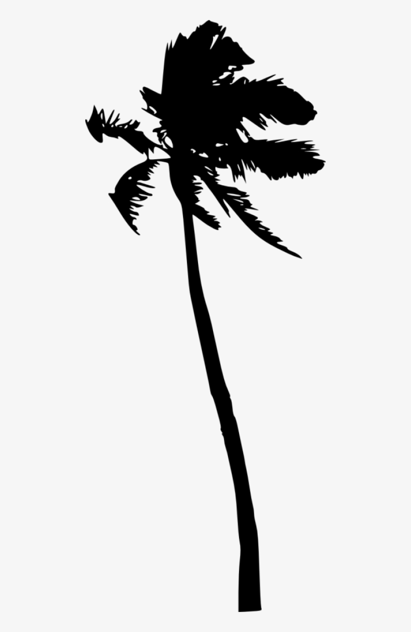 Free Png Palm Tree Silhouette Png Images Transparent - Portable Network Graphics, transparent png download