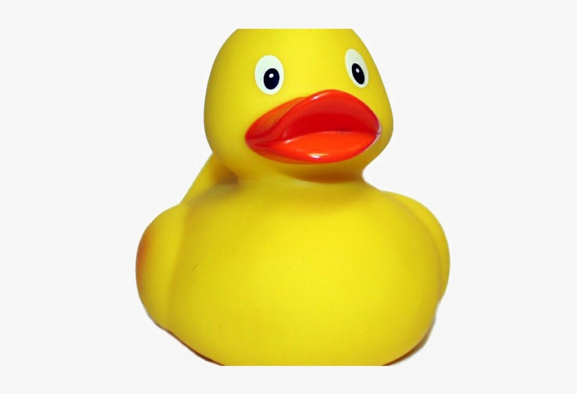 Rubber Duck Png Free Download - Rubber Duck Png, transparent png download