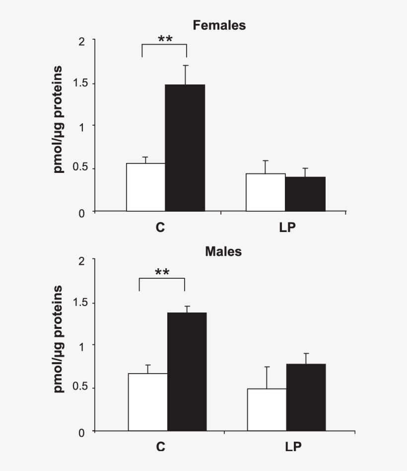 In Vitro Atp Concentration In Control And Lp Islets - Concentration, transparent png download