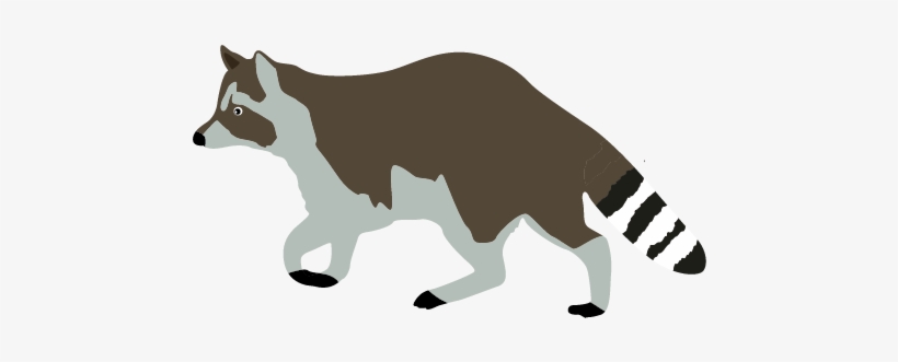 Raccoon Clipart Mammal - Baby Raccoon Clipart No Background, transparent png download