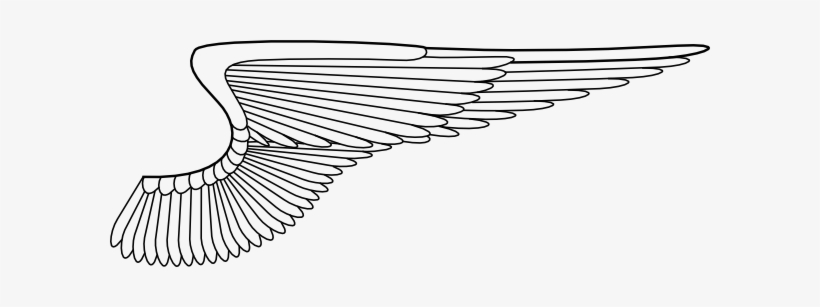 Small - White Wing Right Png, transparent png download