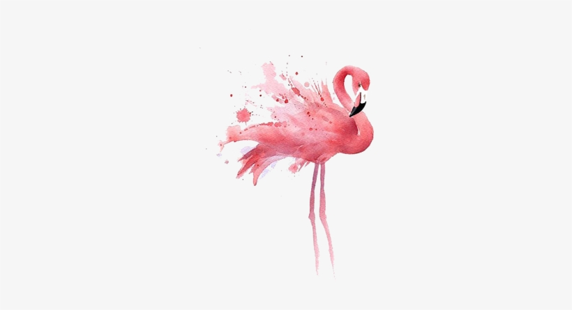 Real High Resolution Flamingo Png - Get Images