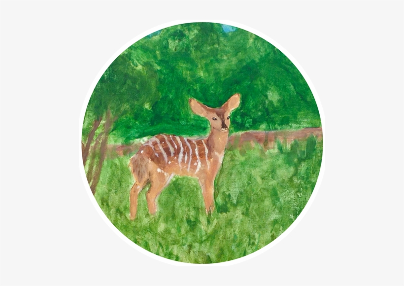 Class Schedule - Imagination, transparent png download