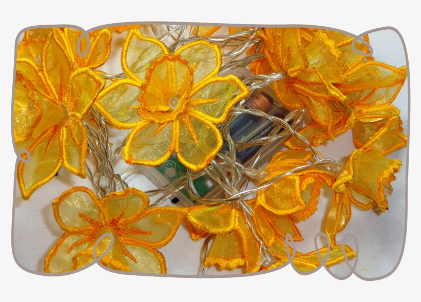 3d Daffodil String Lights - Lily, transparent png download