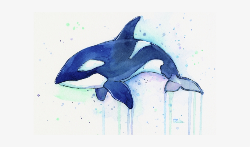 Click And Drag To Re-position The Image, If Desired - Killer Whale Watercolor Painting, transparent png download