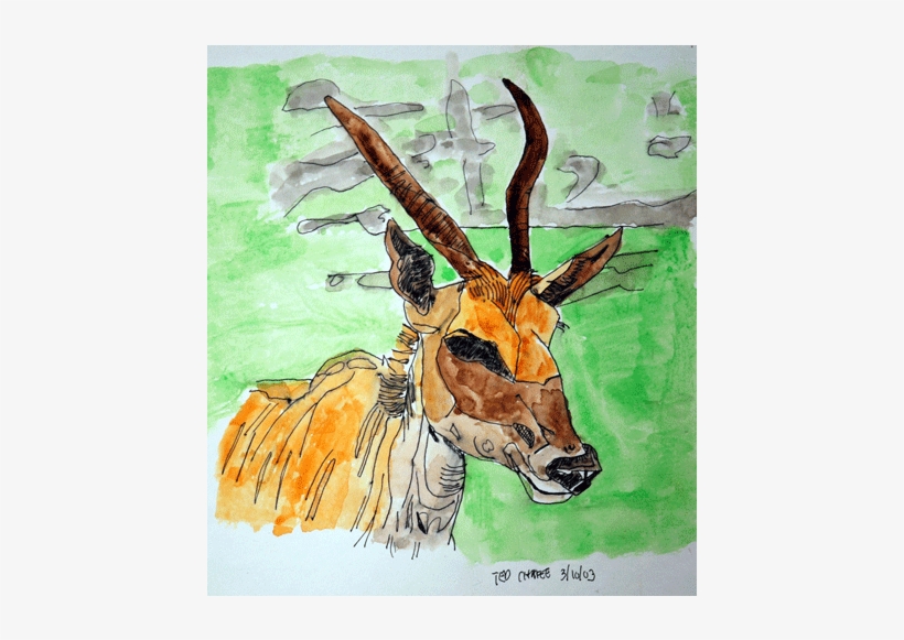 Watercolor Animal - Watercolor Painting, transparent png download