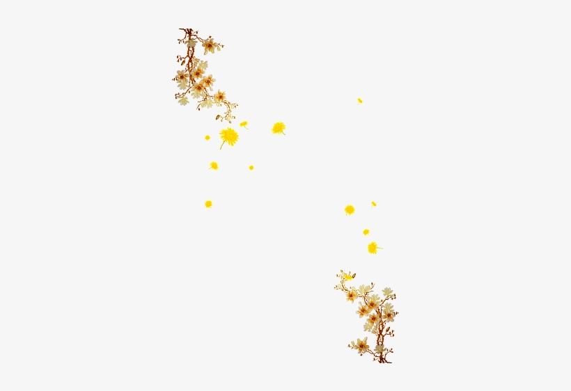 Flower Png Psd Jpg Free Download On - Gardenia, transparent png download