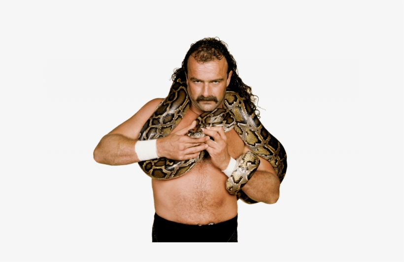 Jake "the Snake" Roberts In His Wrestling Salad Days - Jake The Snake Roberts Png, transparent png download