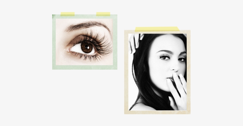 Do Brown Eyes Mean, transparent png download