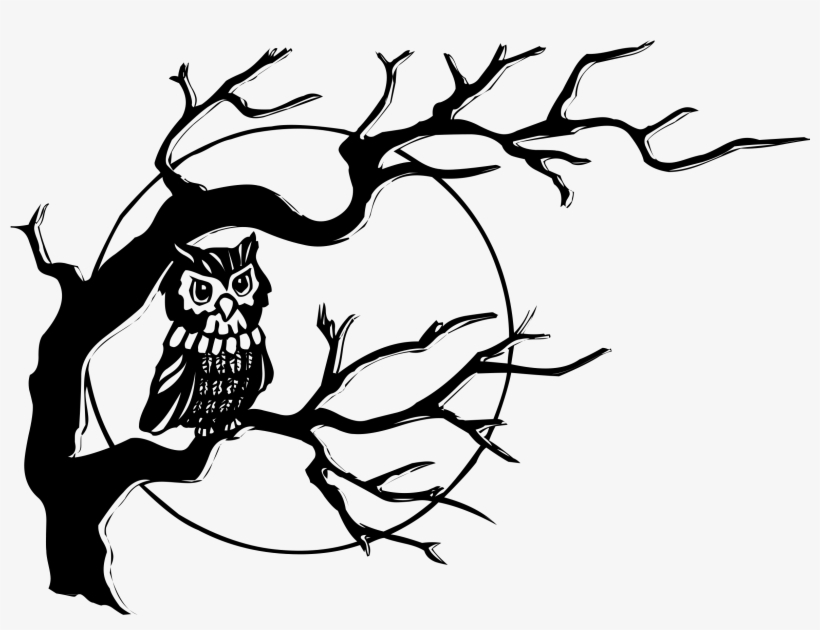 Medium Image - Owl On A Tree Drawing, transparent png download