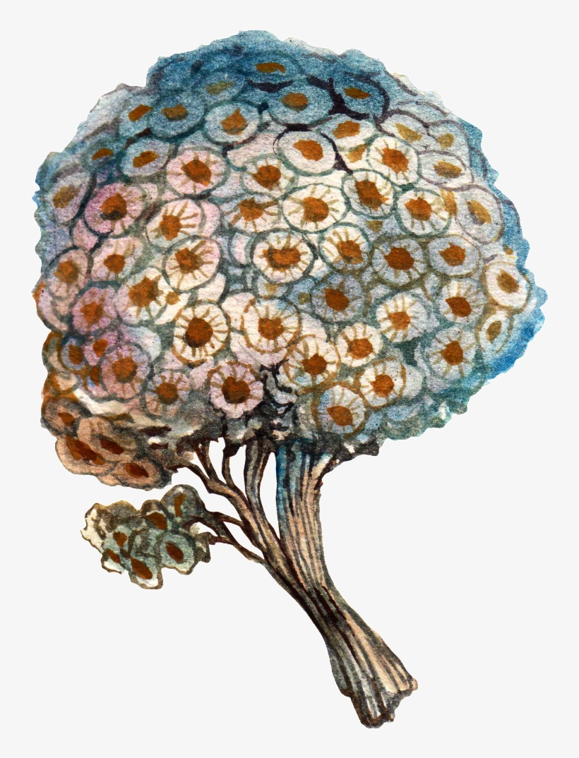 Trees Cartoon Transparent Watercolor Png - Watercolor Painting, transparent png download