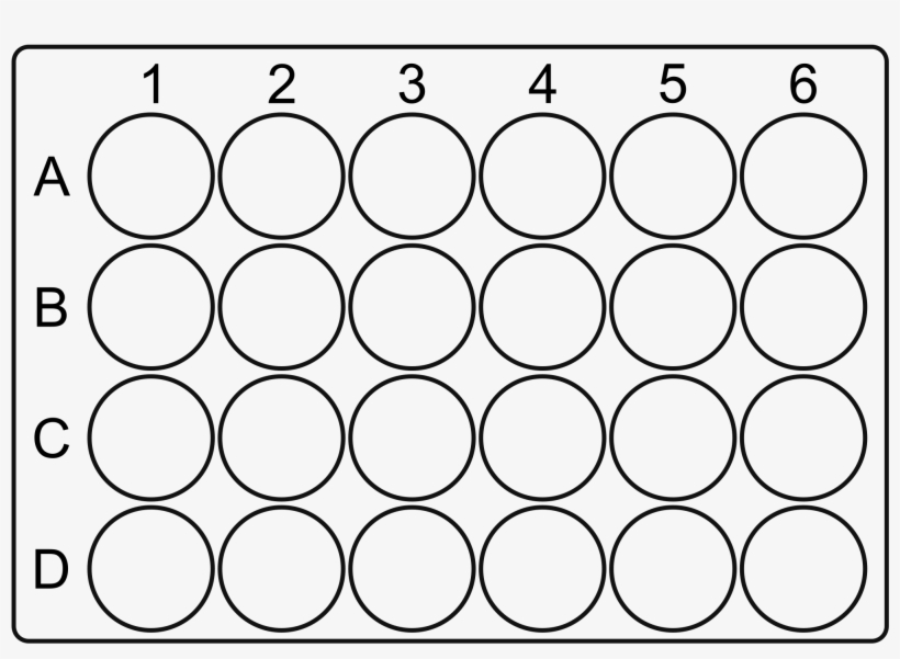 24 Well Plate - Wikimedia Commons, transparent png download