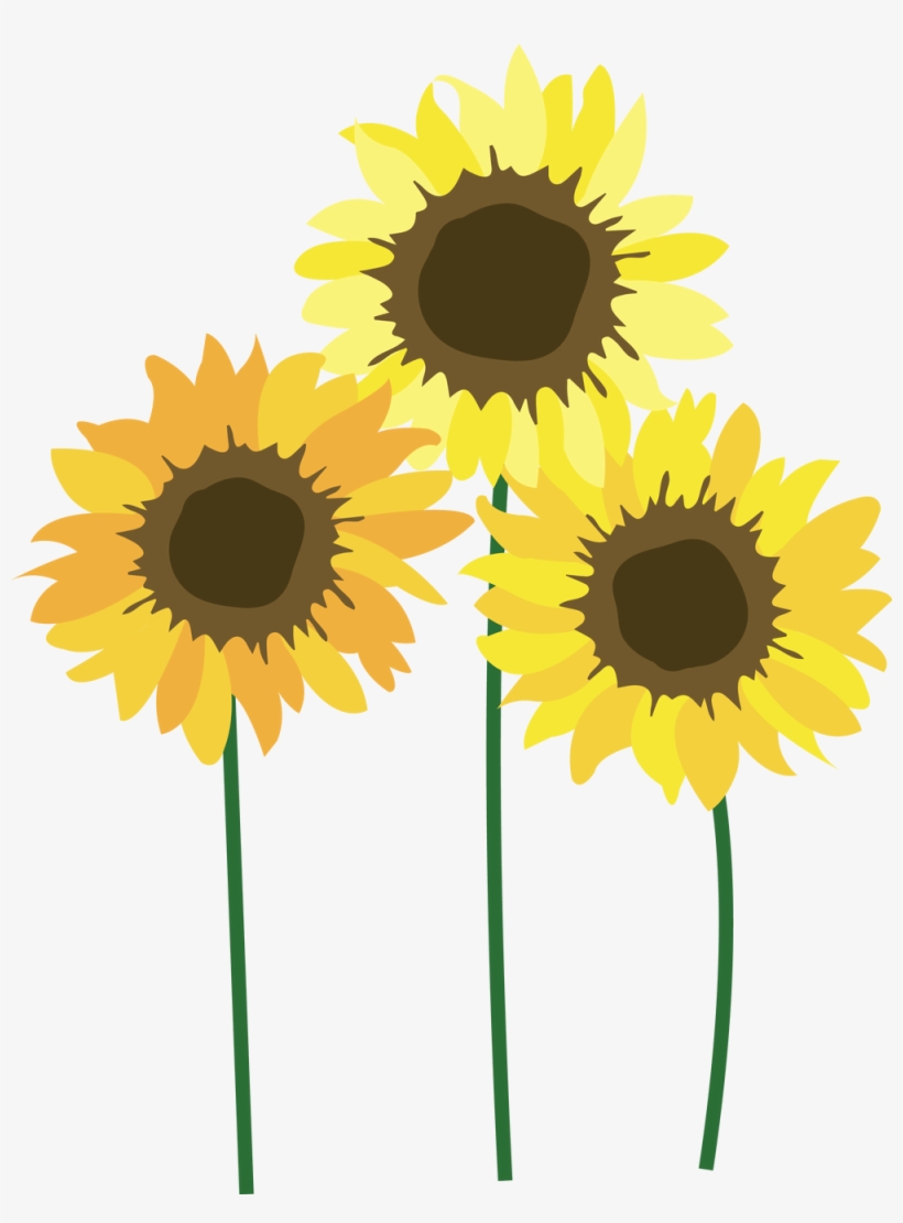 Sunflowers Png Free On Mbtskoudsalg - Sunflowers Png, transparent png download