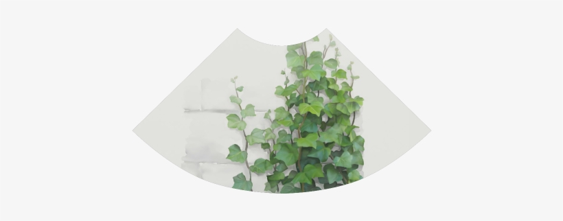 Watercolor Vines, Climbing Plant Atalanta Sundress - Creeper Plants And Paintings, transparent png download
