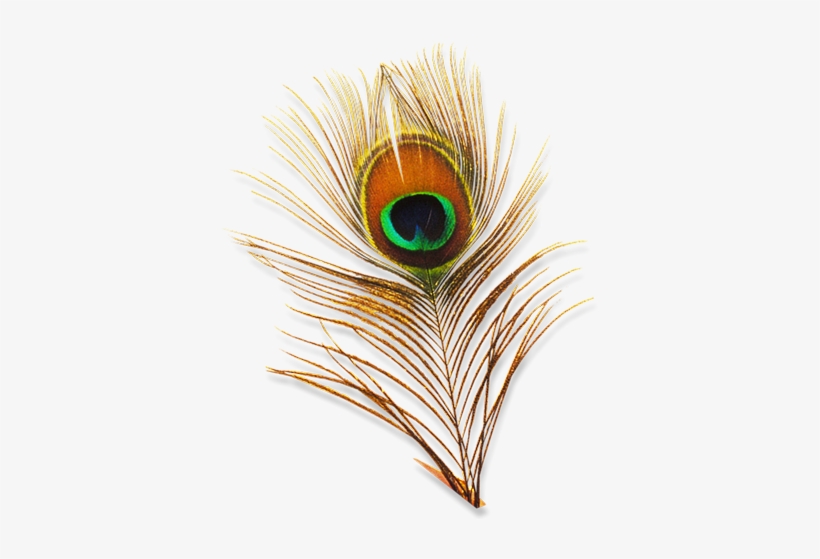 Click To Enter - Png Designs For Photoshop, transparent png download