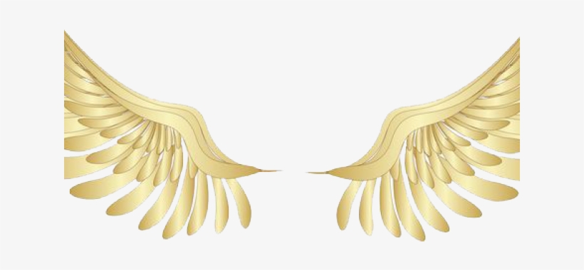 Angel Wings Png - Unique Furniture, transparent png download