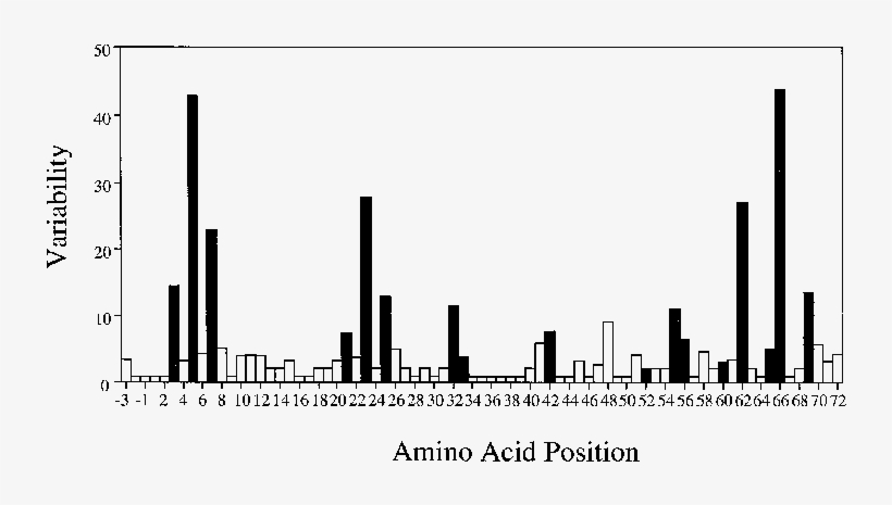 Derived Amino Acid Sequences Of All The Beta 1 Domains - Amino Acid, transparent png download