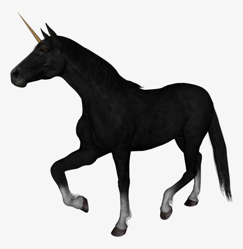 Unicorn Photoshop, transparent png download