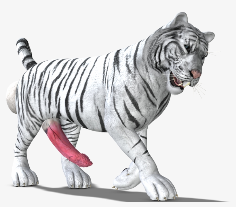 Tiger, transparent png download